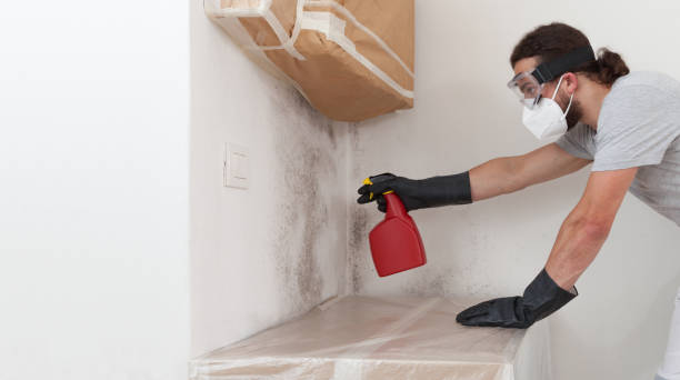 Professional Mold Testing technician working in Fayville, MA